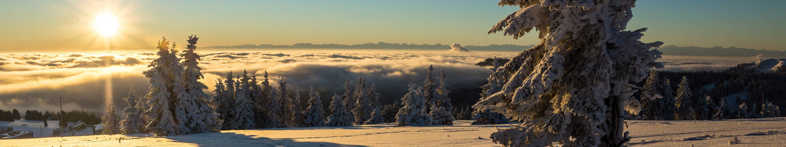 Wohnmobilstellplatz Feldberg — photo 3